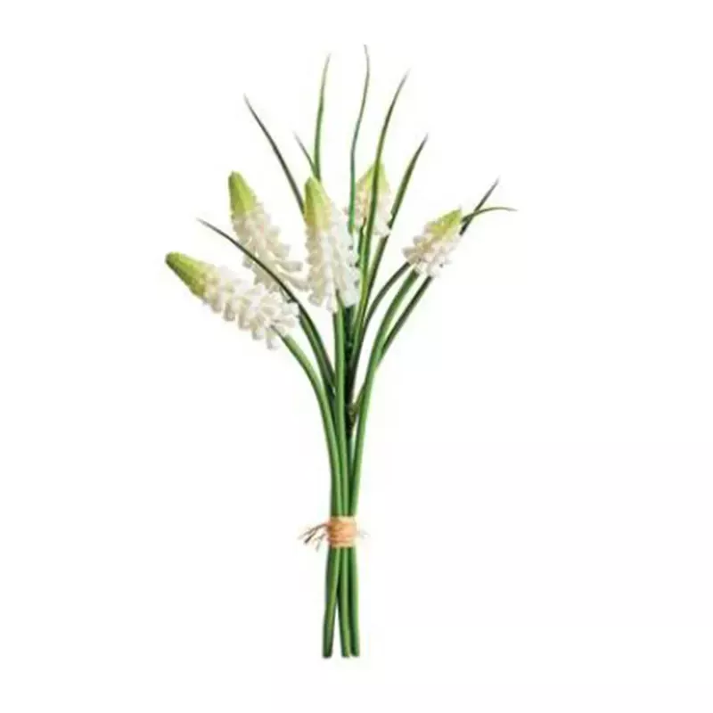 10 Grape Hyacinth Bundle, White