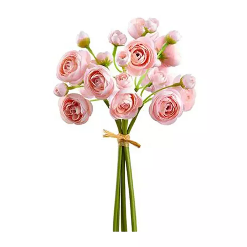 10 Mini Ranunculus Bundle, Pink
