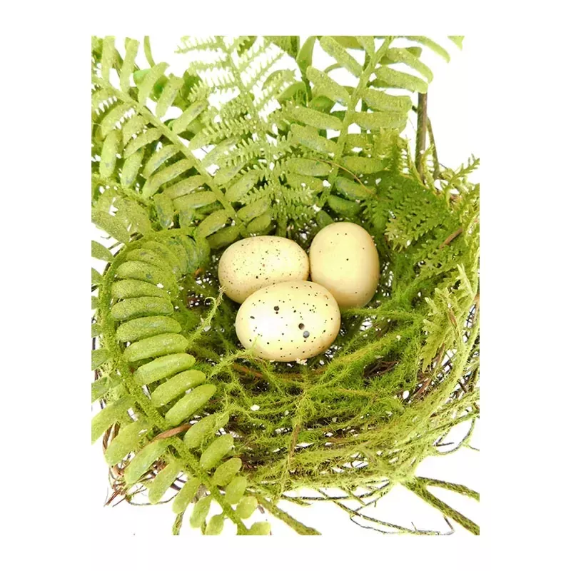 10 Nest with Eggs & Ferns
