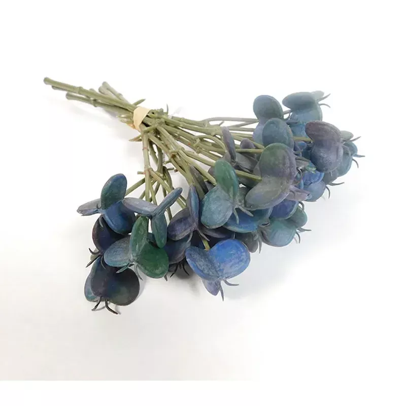 10 Succulent Bundle, Blue