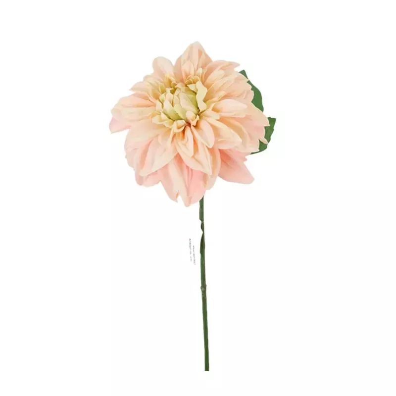 13 Dahlia Stem, Pink