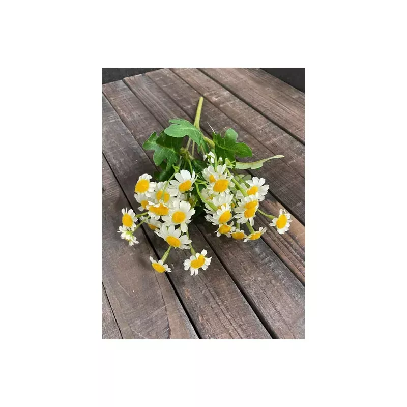 13 Daisy Bush, White/Yellow