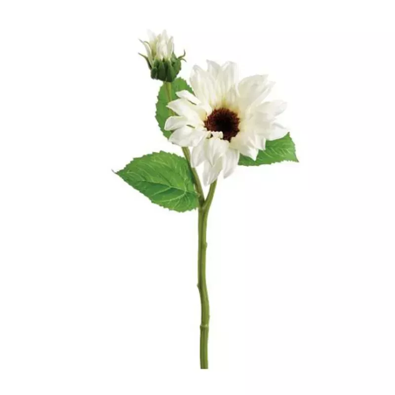 14 Sunflower Spray, White