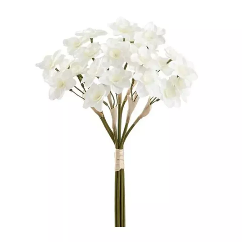 15 Daffodil Bundle, White