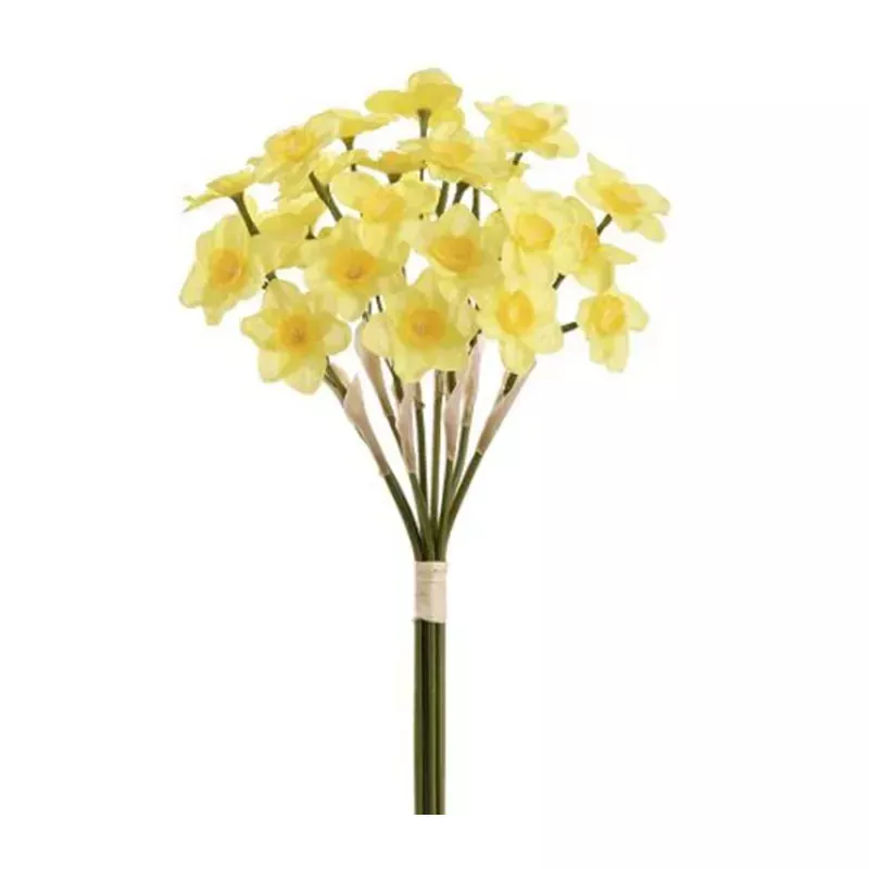 15 Daffodil Bundle, Yellow