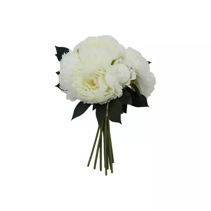 15 Peony Bundle, Cream