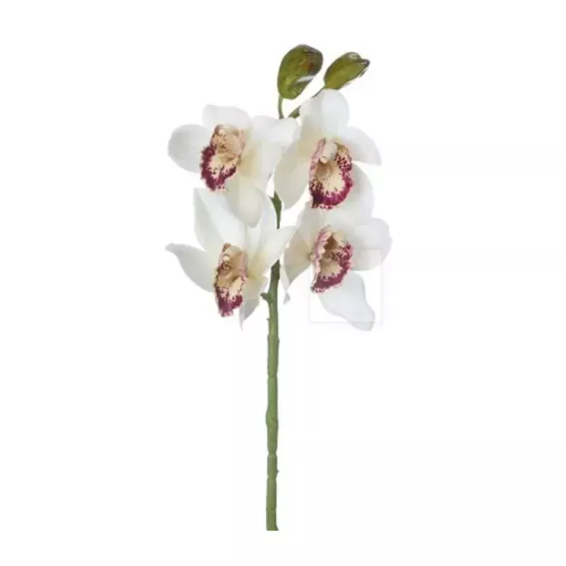 19 Cymbidium Orchid Spray, Burgundy