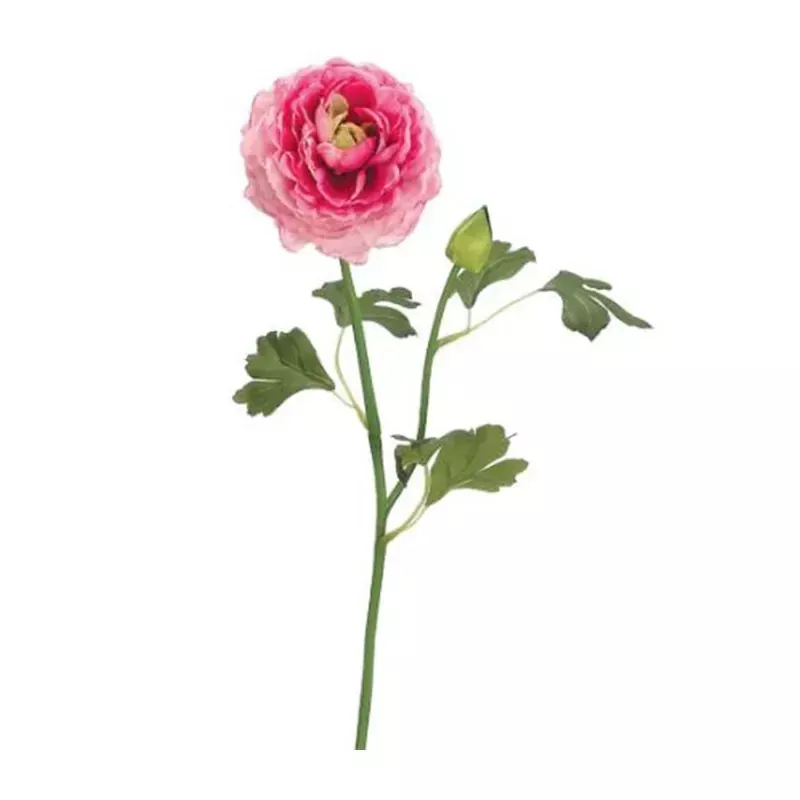 19 Ranunculus Spray, Cerise Pink