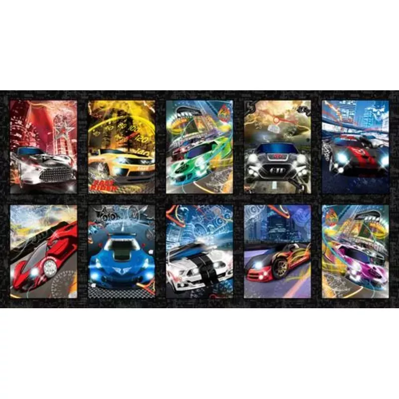 Fast and Wild Race Cars Block 24" x 44" Panel