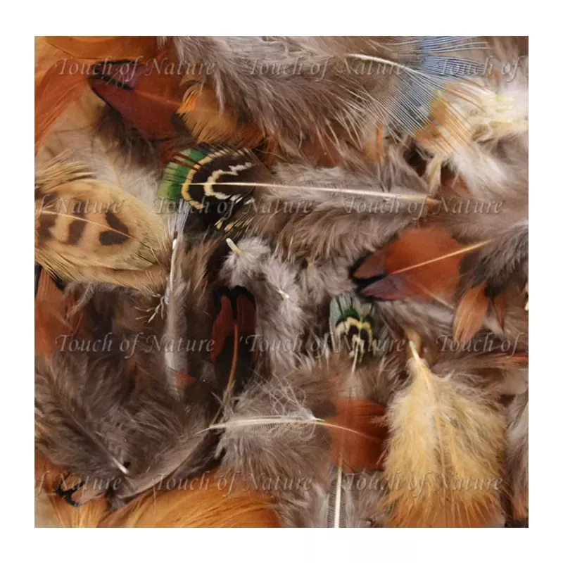 Feathers Value Pack - Natural