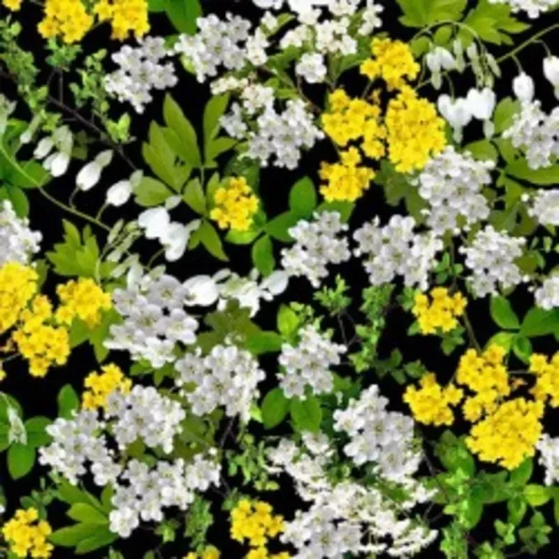 Flower Splendor FRESH SPRIGS DCX10529-BLAC-D yardage