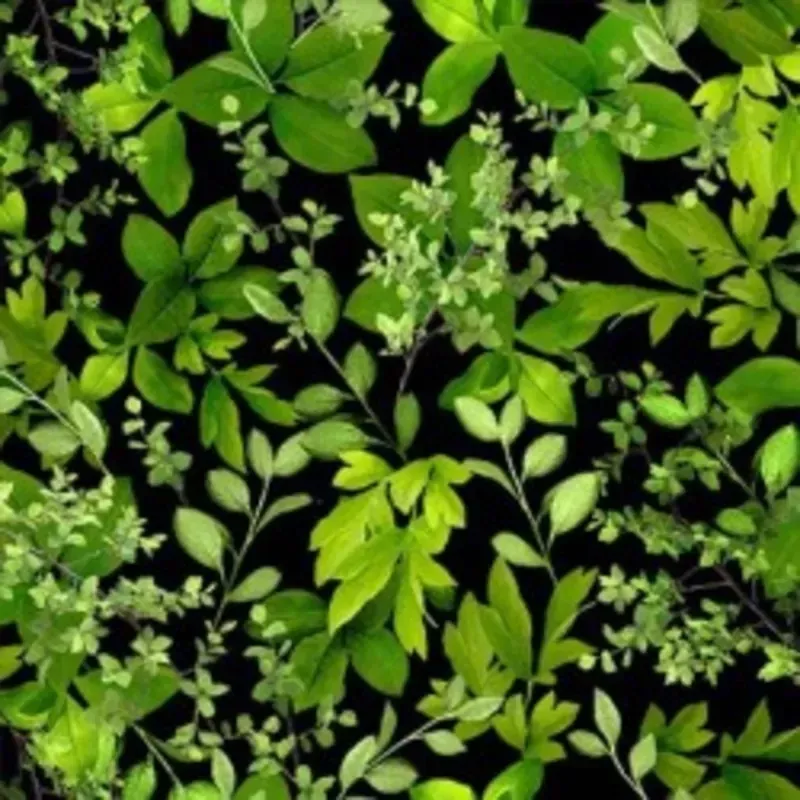 Flower Splendor LEAF SPLENDOR DCX10531-BLAC-D yardage